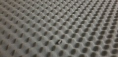 Near Perfect 39x78x1.5 Self Adhesive Egg Crate Acoustic Foam Soundproofing Gray