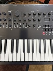 Korg Minilogue PG Limited Edition 4-Voice Polyphonic Analog Synthesizer