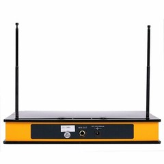 Dual Handheld Wireless Microphone Cordless Receiver for Church, Karaoke w/ Echo