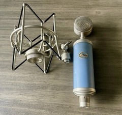 Blue Microphones Bluebird SL Studio Condenser Microphone – & Shock Mount
