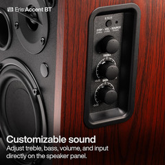 Eris 60W Bluetooth Bookshelf Speakers – Studio Monitors with Remote & Sub Out