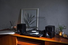 Audio-Technica AT-SP3X Bookshelf Speakers