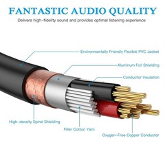 XLR Splitter – Female to Dual Male Y Cable, 5 Feet