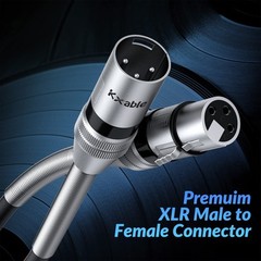 XLR Cable 10 Feet (2 Pack), 22AWG, Zinc Alloy Shells, XLR Male to Female Heav…