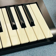 Korg R3 MMT Synthesis Radiant Engine Vocoder Synth Keyboard 37-Key Japan