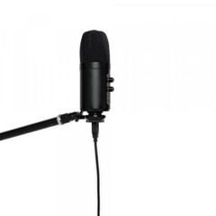 Stagg Model SUSM60D Studio Grade Double Condenser USB Microphone