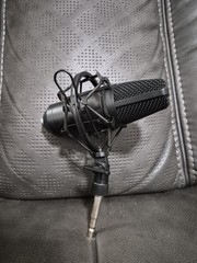 DSCHLZY Black Condenser Microphone, Wired XLR 3-Pin, Shock Mount