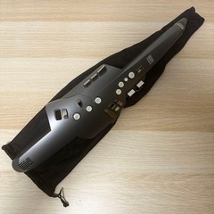 Roland Aerophone AE-10G Digital Wind Synthesizer Graphite Black Mint in Box