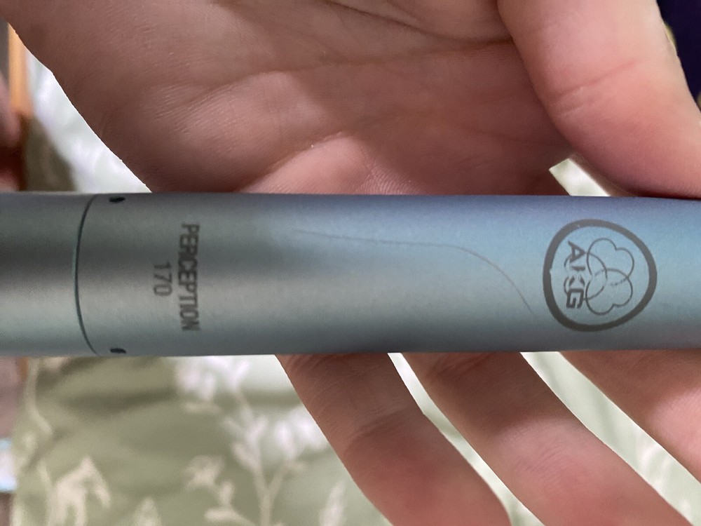 AKG P170 High-Performance Instrument Microphone (3101H00410)
