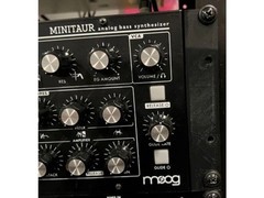 Rack Ears for Moog Minitaur Analog Bass Synthesizer (Rack Ear Rail)