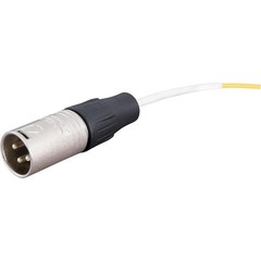 Livewire Advantage 8Channel Snake 50 ft. Black