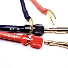 CNCESS CESS-089 Speakon Plug to Female Banana Jack Speaker Cable, Accept Banana