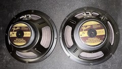 Fender V1030 Speaker Pair Musical Instrument Loudspeakers