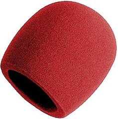 Lightweight Foam Microphone Pop Filter – Ideal for Vocal Performances