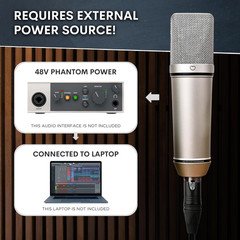 MA-87 Studio Condenser Microphone, 26Mm Gold Large Diaphragm Capsule, Including
