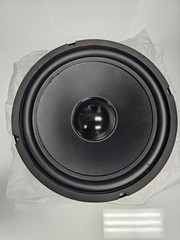 Goldwood Sound GW-1038 10″ 8 Ohm Woofer Speaker Driver 30 oz Magnet NEW