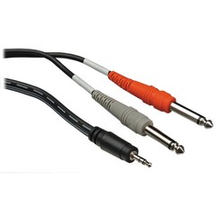 Hosa Technology Stereo Mini (3.5mm) Male to 2 Mono 1/4 Male Insert Y-Cable – 10′