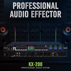 Professional Vocal Effects Processor Audio Effector Digital Audio Equipment
