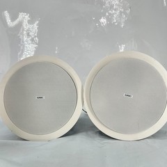 QSC AD-C6T Speaker Pair