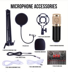 5 Core RM 8 BG Wired Professional Condenser Microphone Kit with Mixer