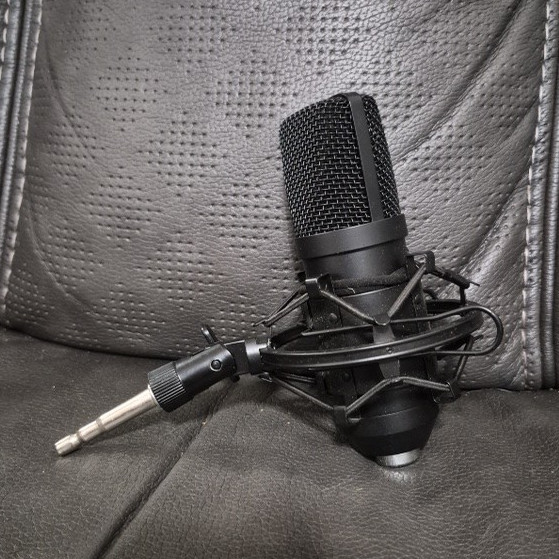 DSCHLZY Black Condenser Microphone, Wired XLR 3-Pin, Shock Mount