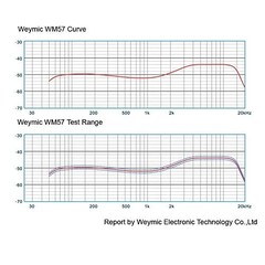WM57 Dynamic Cardioid Vocal Instrument Microphone Professional Mic