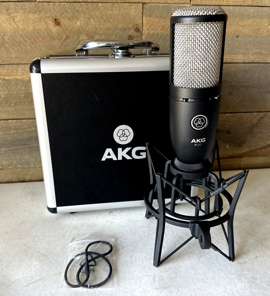 AKG P220 Condenser Microphone w/ Shockmount & Case Minty Condition!
