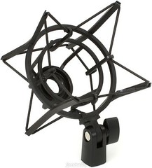 AKG P220 Project Studios and Stage Microphone