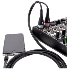D’Addario Custom Series 1/8” to Dual XLR Audio Cable, PW-MPXLR-06