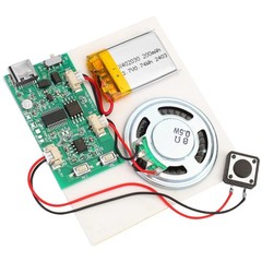 Programmable Sound Recorder Module – DIY Music Voice Recording 1pcs