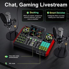 Dual Microphone Podcast Bundle for 2 – Condenser Mics, Mixer