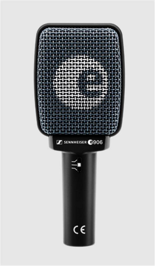 Sennheiser e906 Instrument Mic