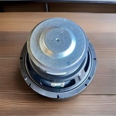 JBL EON PRO ONE Compact 8″ Woofer, 5125341-00