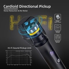 2PCS Wireless Professional Microphone Handheld Mic System Karaoke w/Receiver