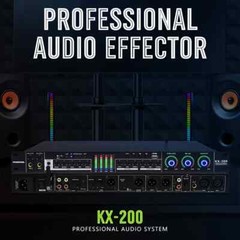 Professional Vocal Effects Processor Audio Effector Digital Audio Equipment