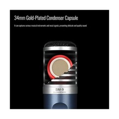 TAKSTAR XLR Cardioid Condenser Microphone, 34mm Large Diaphragm Professional …