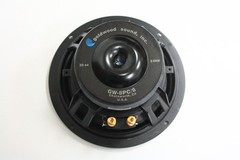 Goldwood Sound GW-8PC/8 8″ 8 Ohm Woofer Speaker Driver 30 oz Magnet NEW
