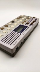 Suiko ST-70 Shigin Poetry Synthesizer Japanese Koto Ambient Drone Tested