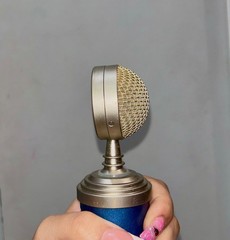 Blue Bluebird SL Large-Diaphragm Condenser Studio Recording Vocal Microphone
