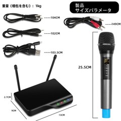 2 Channel Wireless Microphone System Depusheng DX6 Portable For Family Outdoor