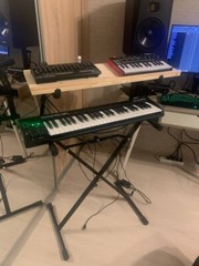 Roland SE02 Analog Synthesizer