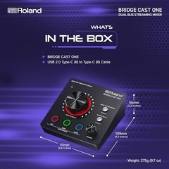 Roland BRIDGE CAST ONE Gaming DAC Amplifier Audio Interface BRC-ONE [NEW] TI