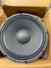 12″ 8 Ohm woofer built by Eminence in USA for ASR audio with 2″ vc and 38 oz mag