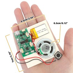 Programmable Sound Recorder Module – DIY Music Voice Recording 1pcs