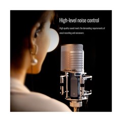 TAKSTAR XLR Cardioid Condenser Microphone, 34mm Large Diaphragm Professional …