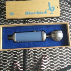 B.L.U.E. Bluebird Microphone For Sale