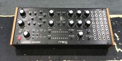 Moog Labyrinth Parallel Generative Analog Synthesizer