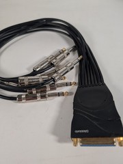 D’Addario Planet Waves PW-TRSB-01 DB25 to 8 TRS Breakout Cable