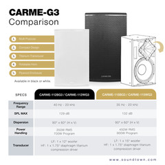 Sound Town 12″ 700W 2-Way Passive PA Speaker for Installation Black CARME-112BG3