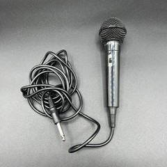 Casio Wired Unidirectional Dynamic Microphone 600 Ohm 1/4 Plug Tested